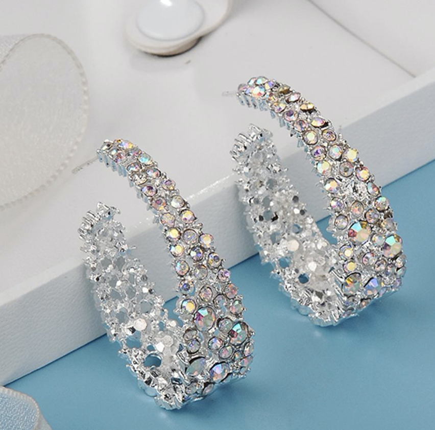 Sparkly Earrings
